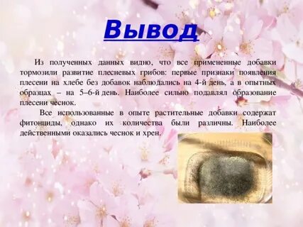 Сказка про плесень