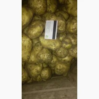 Объявление продаю картошку