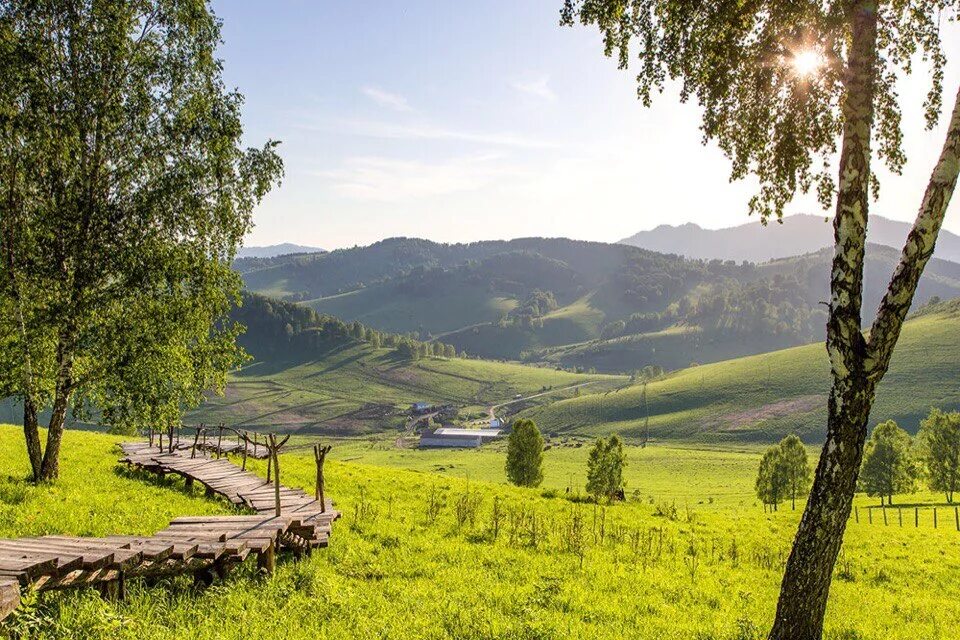 Гисметео алтайский район село алтайское. Маральник Никольское. Село Никольское Алтайский район. Горно Алтайск маральник Никольское. Маральник Алтай Чарышский район.