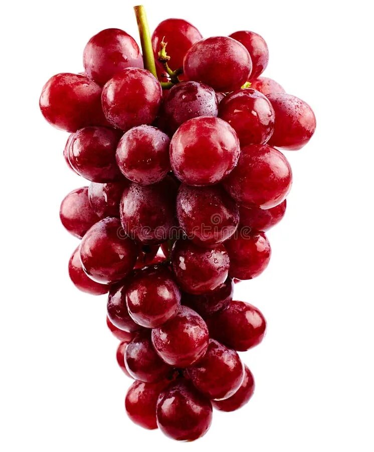 Red grape