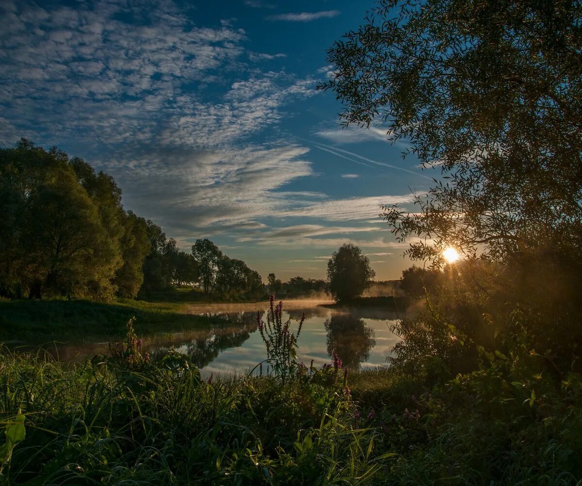 Кузьминский лесопарк котельники фото. Августовский лес. Кузьминский лес пик. Парк кузьминский лес котельники. Августовский вечер на красивой мече.