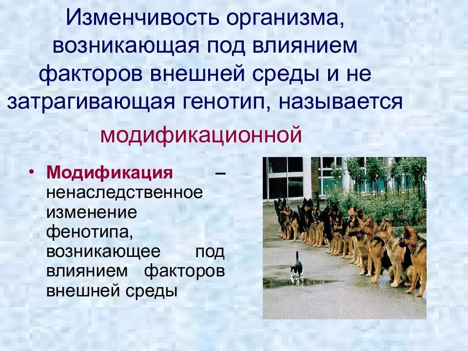 Изменение фенотипа