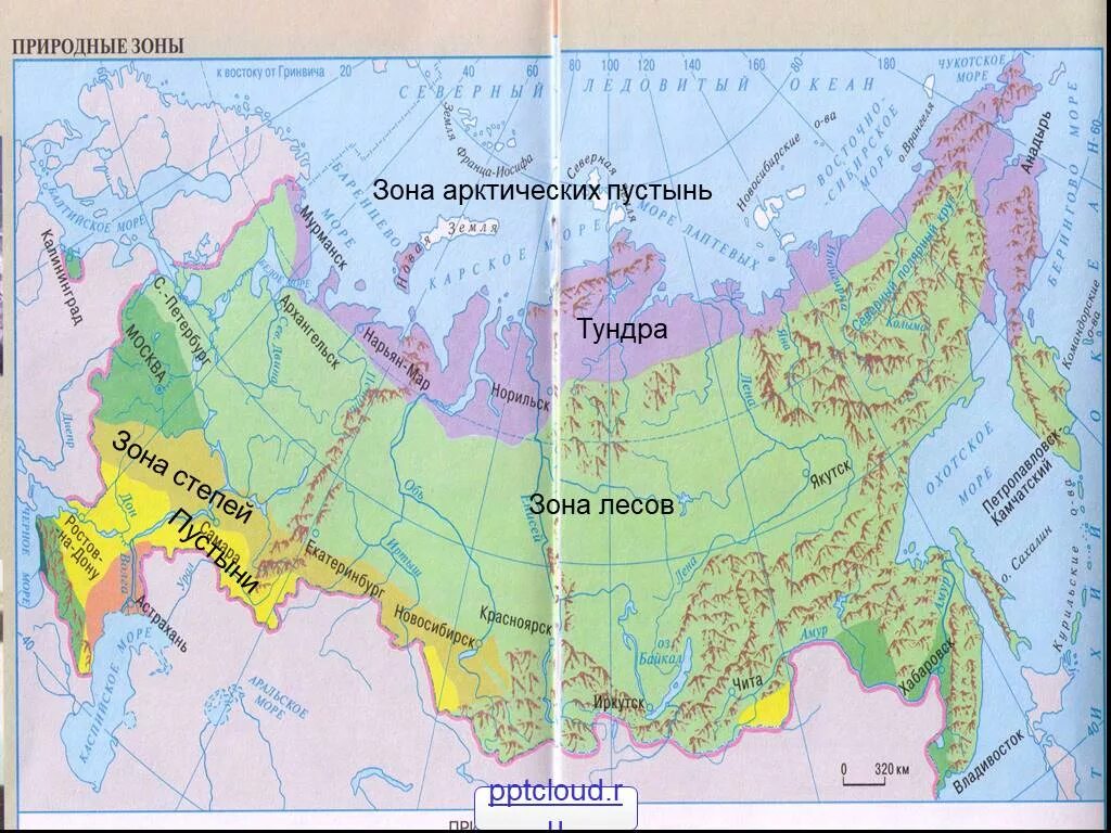 В каком направлении простирается тундра. Зона арктических пустынь на карте России 4 класс. Показать на карте зону арктических пустынь. Зона арктических пустынь на карте 4 класс. Тундра на карте России природных зон.