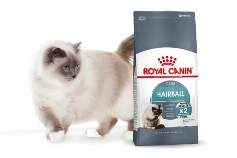 Royal canin hairball