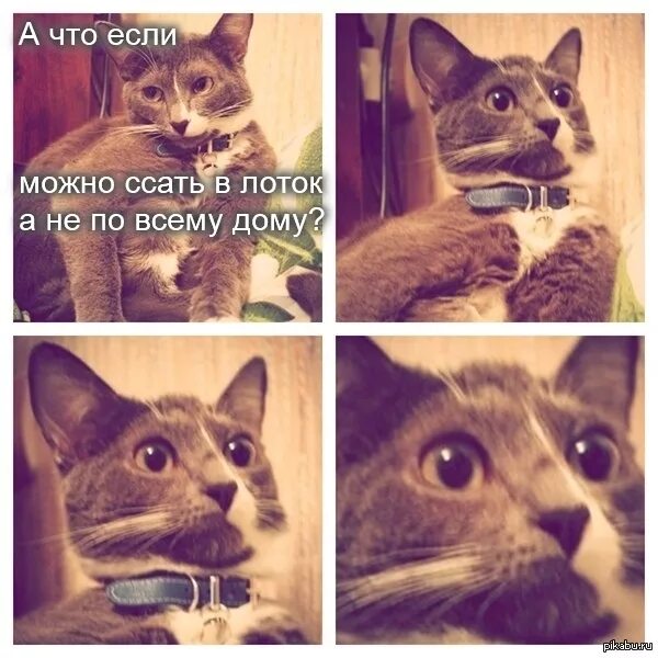 Какой то прислала