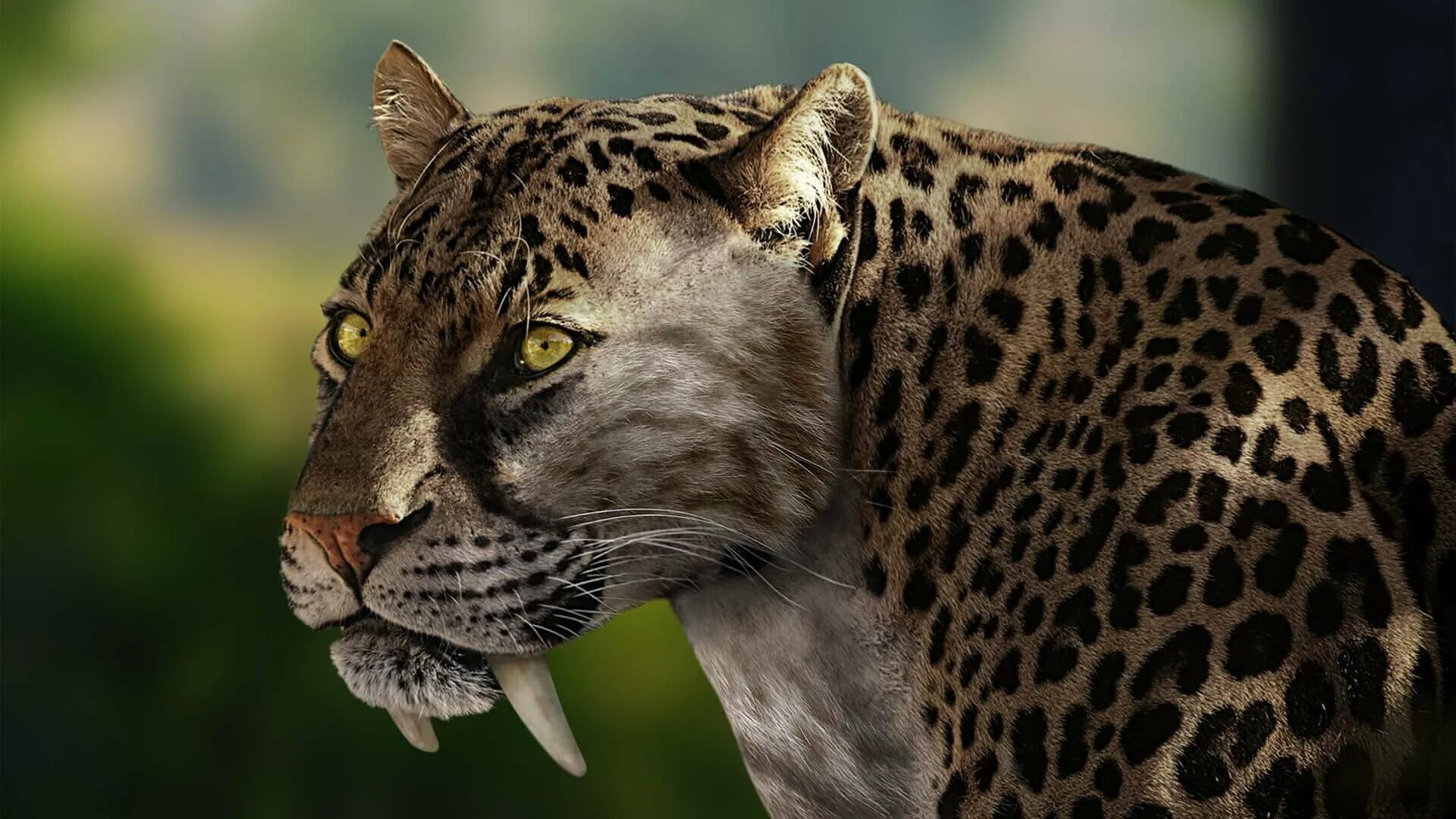 Леопард хищник. Саблезубый ягуар смилодон. Самая хищники животные. Кошка рысь сервал. Самая хищники животные.