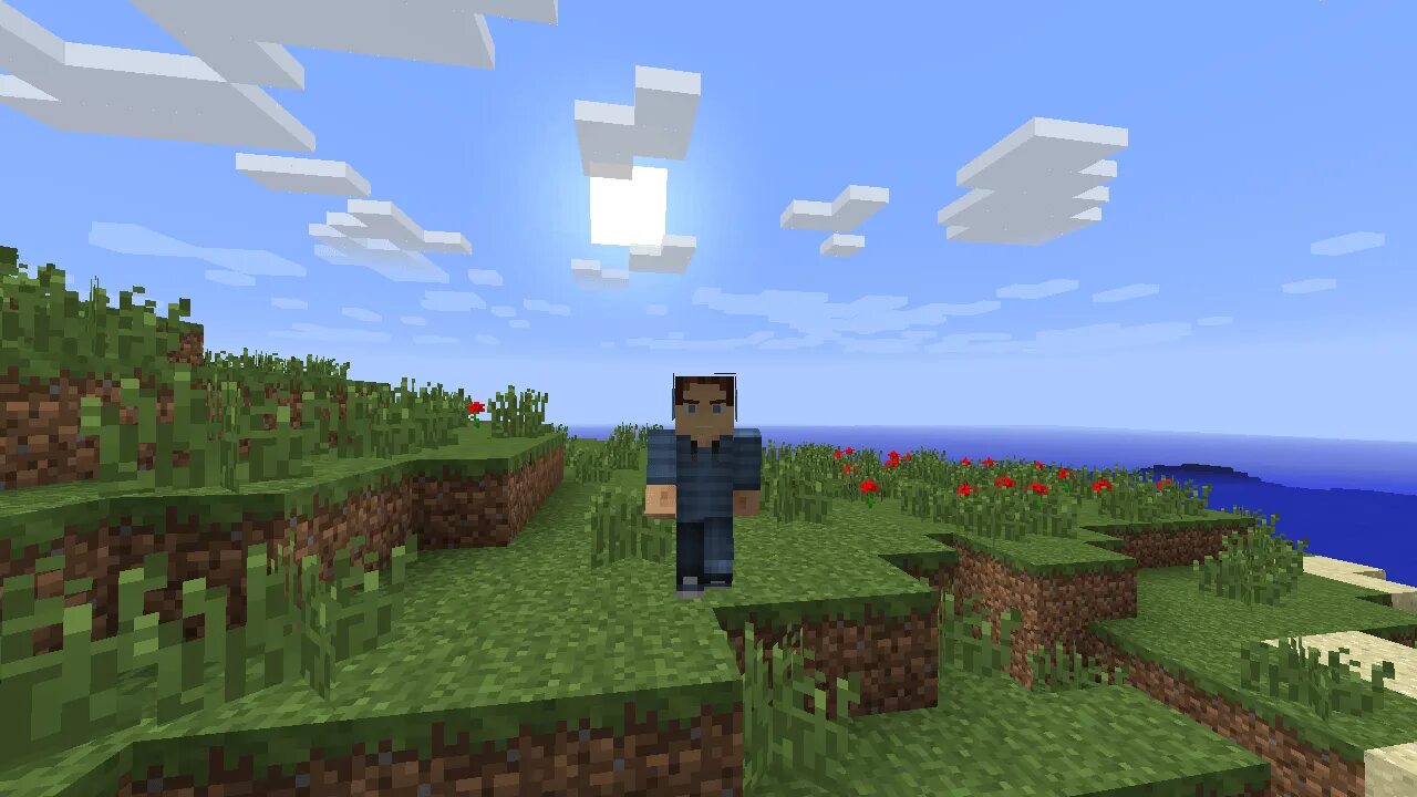 Player animations mod