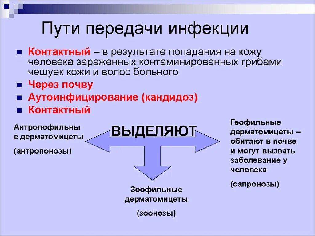 Какой передается бытовым путем