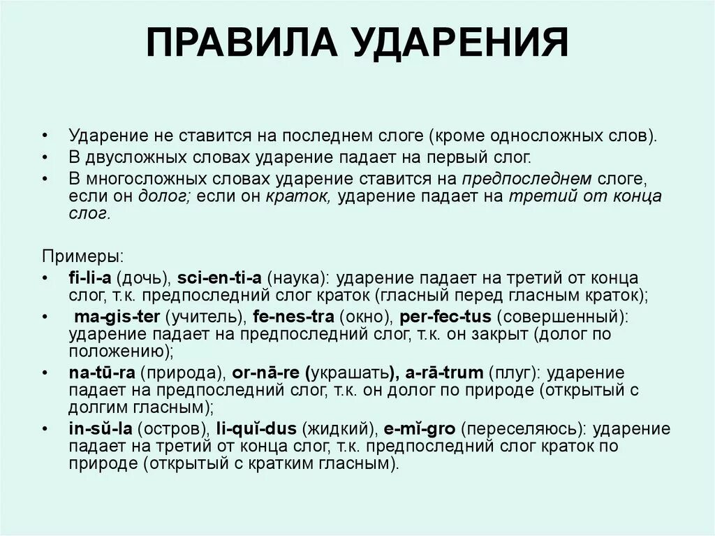 Ударение в мужском роде. Правила ударения в латыни. Правила постановки ударения. Ударение в латинском языке ставится. Ударение в латинских словах.