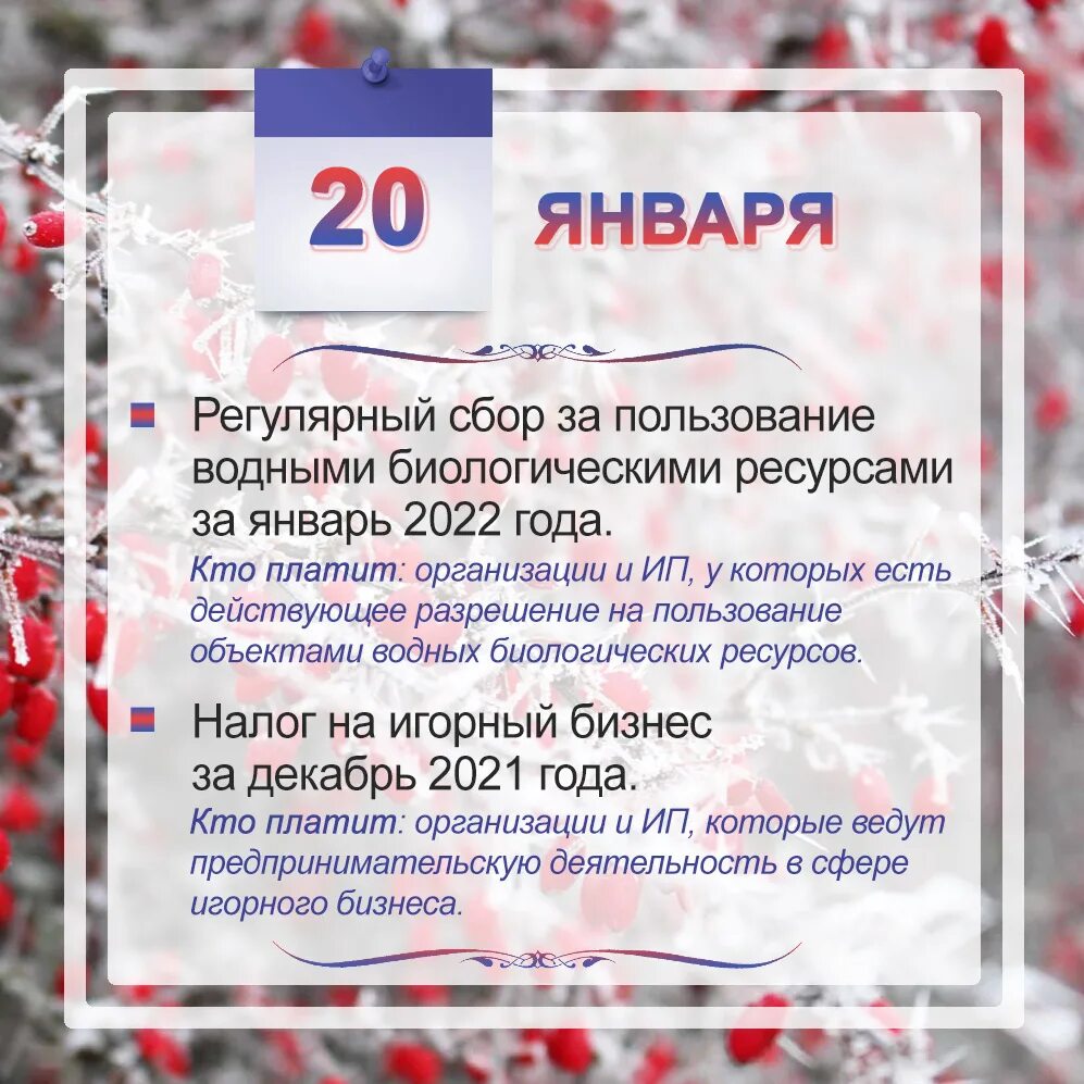СРОКИ ОТЧЕТНОСТИ 2023 ТАБЛИЦА images