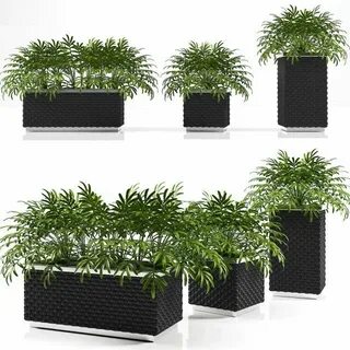 Planting boxes