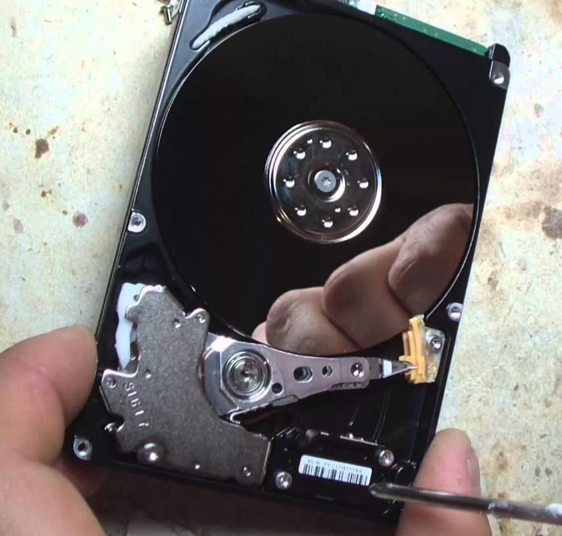 Почему пропадает жесткий диск. Винчестер HDD 1000gb. Паккард Белл жесткий диск HDD. Жесткий диск wx91a4395117. Жесткий диск wcau43406235.