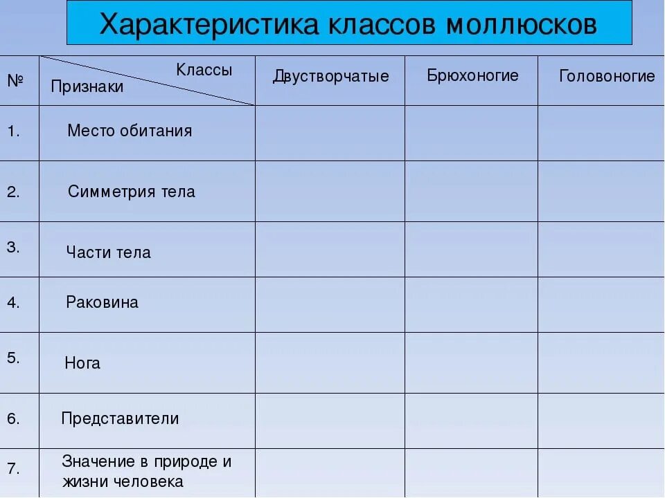 Таблица по биологии 7 класс характеристика классов моллюсков. Таблица сравнение брюхоногих двустворчатых и головоногих. Класс брюхоногие моллюски 7 класс таблица. Сравнительная характеристика типа моллюски таблица 7. Брюхоногие признаки таблица