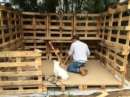 Сарай из паллет