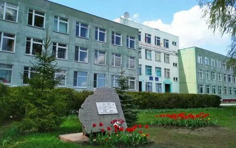 Гимназия 8 шумерля