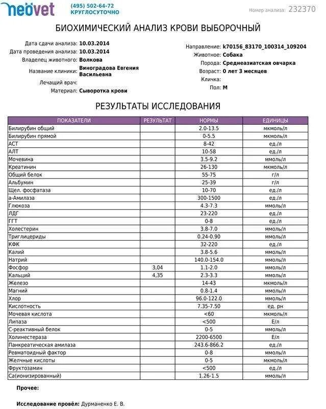 Повышенные желчные кислоты у собак