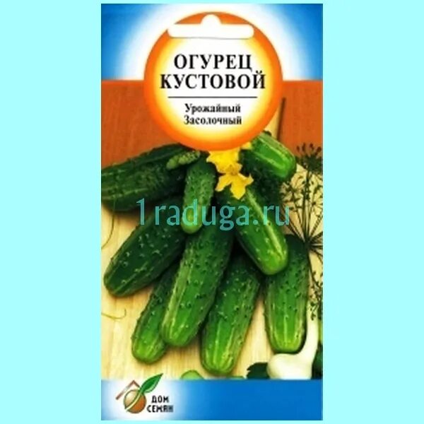 Кустовые сорта огурцов. Кустовые огурцы для открытого грунта. Картофель одиссей 0. Огурцы семена кустовые лучшие сорта. 025г (гавриш).