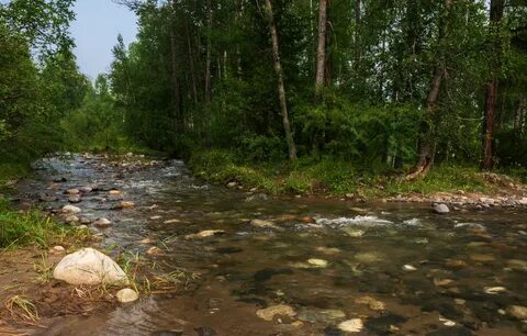 Поселок ручей иркутская область