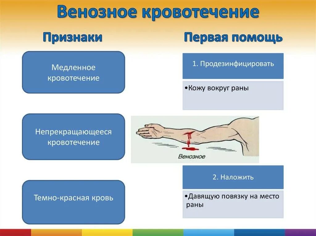 Основной признак поверхностного венозного кровотечения. Симптомы венозного кровотечения. Венозное кровотечение сим. Основные признаки венозного кровотечения. Венозное кровотечение первая помощь алгоритм