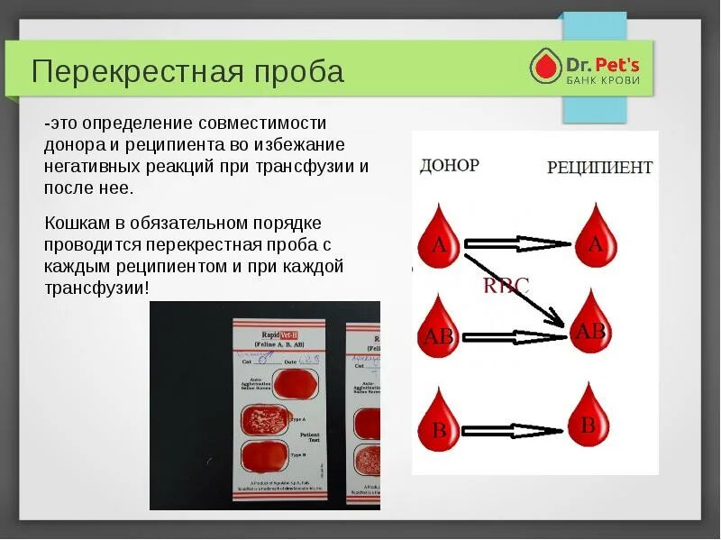 Совместимые доноры крови. Совместимость крови донора и реципиента. Перекрестная проба. Проба на совместимость донора и реципиента. Перекрестная проба Ветеринария.