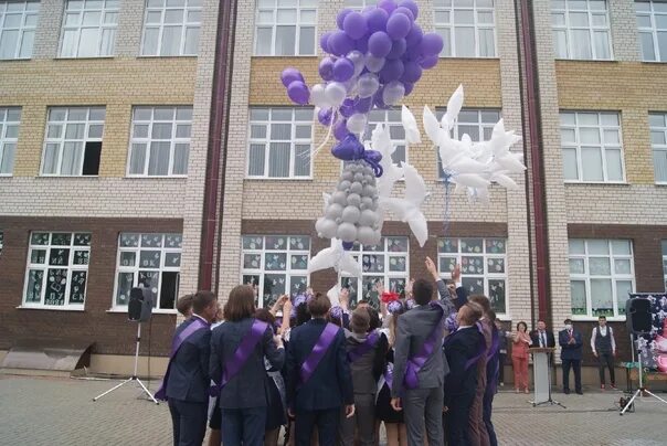 Ромодановская школа 1. Мбоу ромодановская сош 1. Ромоданово школа 2. Мбоу белозерьевская сош школа. Сош алкино-2.