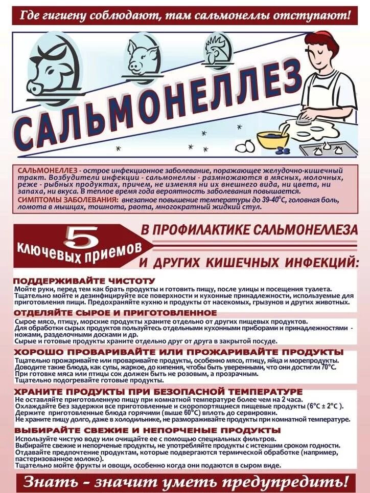 Инструкция сальмонеллеза