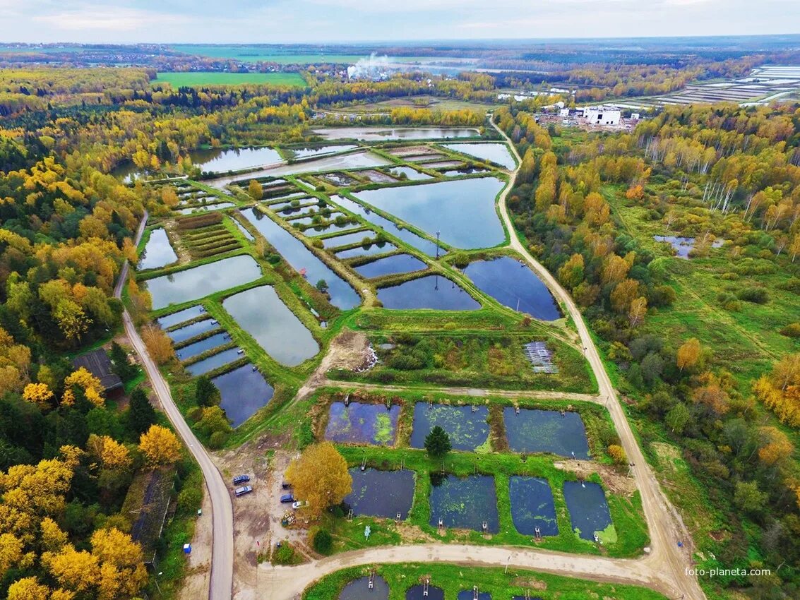 Рыбное Дмитровский район. Рыбное поселок Дмитровский. Поселок Рыбное Московская область. Дмитров поселок Рыбное. Рыбное в дмитровском районе