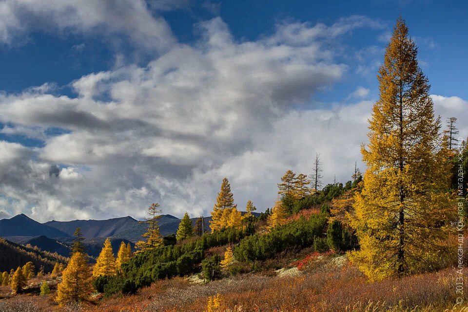 Дукат город магаданской области. Магадан центр города. Колыма магадан. Синегорье колыма. Дукат город магаданской области.