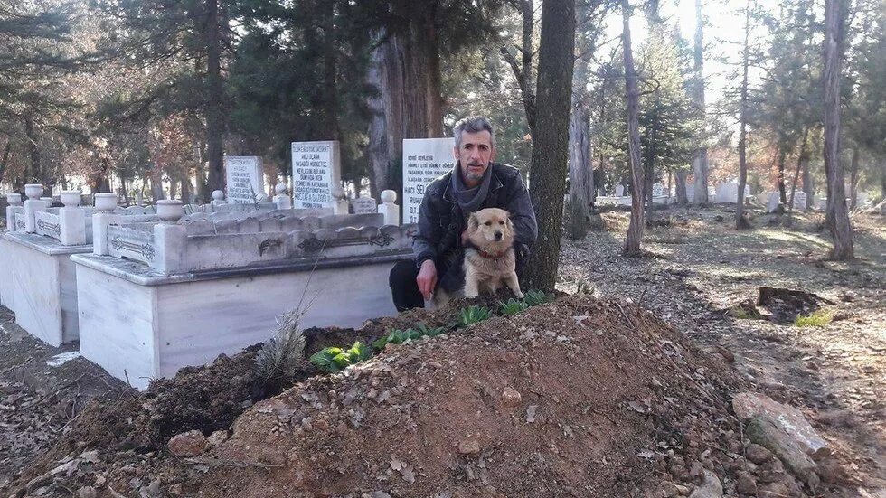 На кладбище приходит собака. Собака лежит на кладбище. На кладбище приходит собака. Собака лежит на кладбище. Памятник собаке жуже в армении.
