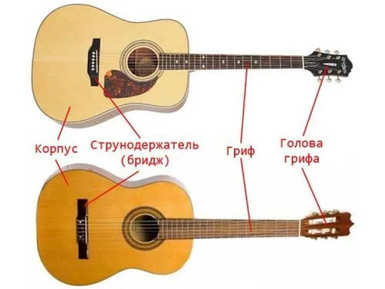 Какая гитара лучше для новичка. Классическая гитара и акустическая отличия. различие акустической и классической гитары. акустическая гитара и классическая гитара разница. чем отличается акустическая гитара от классической гитары.