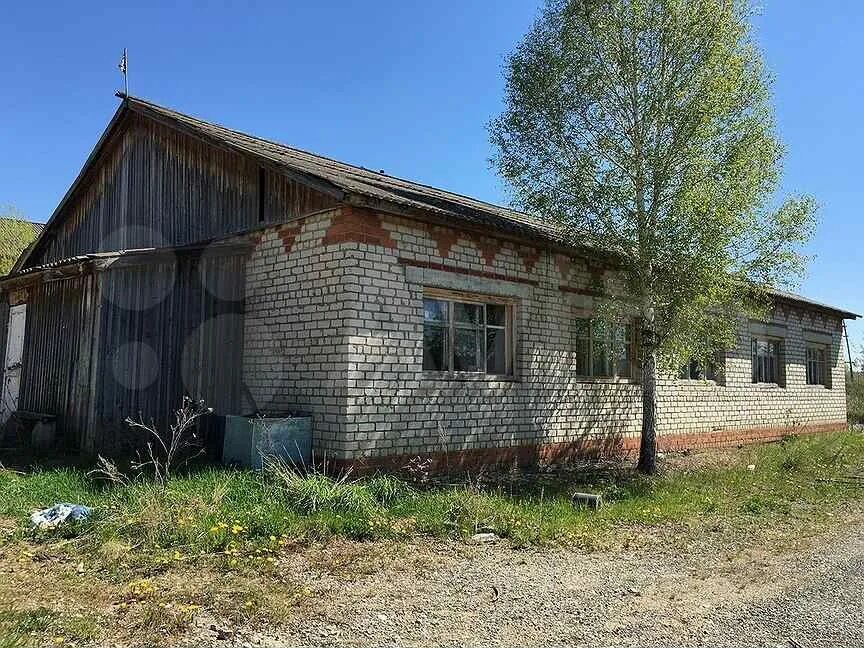 Малые карзи артинский район. Малые карзи артинский район. Погода малые карзи. Сажино артинского района. Малые карзи артинский район.