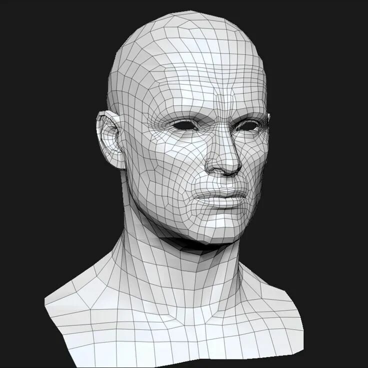 Модель человека фотографиям. Модель головы. Модель человека. 3д голова. Трехмерная модель человека.