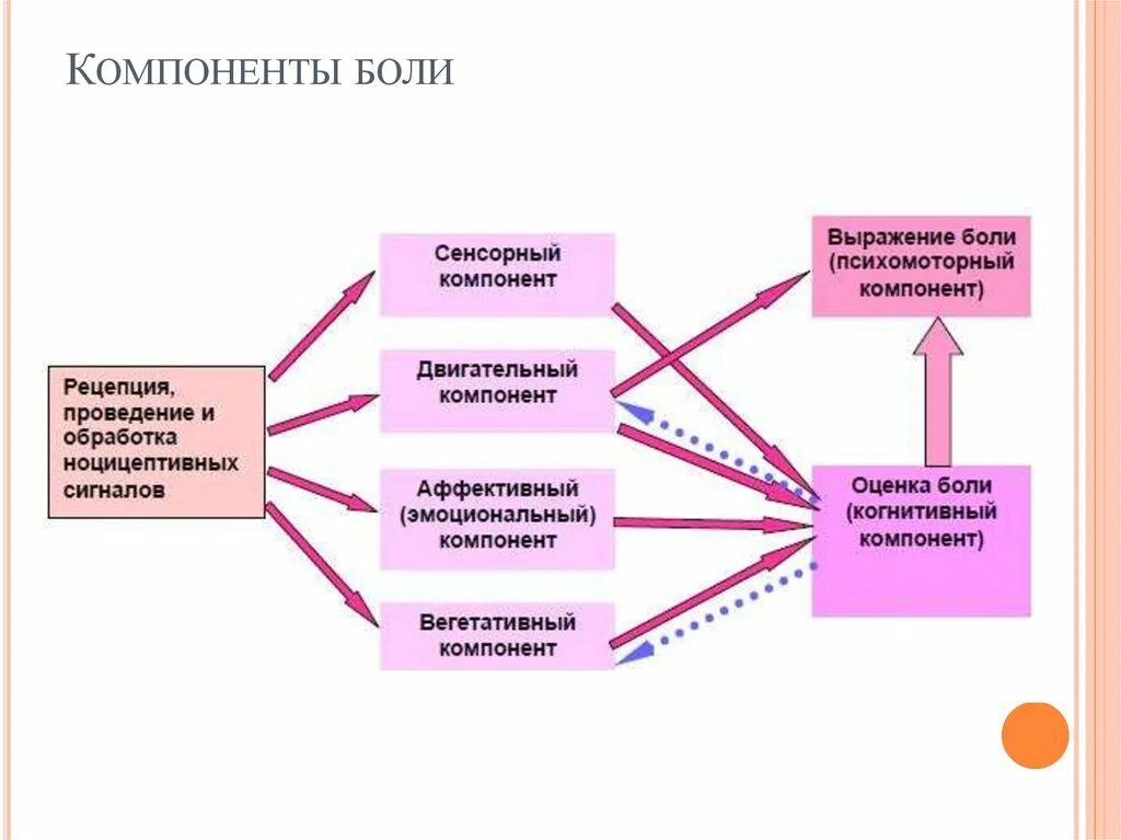 Реакция организма на боль. Компоненты болевой реакции. Сенсорный компонент. Вегетативные компоненты боли. Вегетативные компоненты болевых реакций.