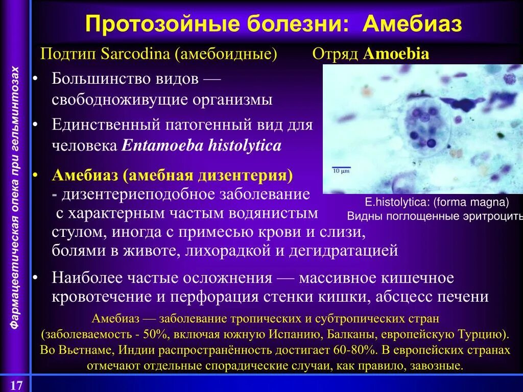 Протозойные инфекции. Возбудители протозойных инфекций. Профилактика протозойных инфекций. Болезни группы б