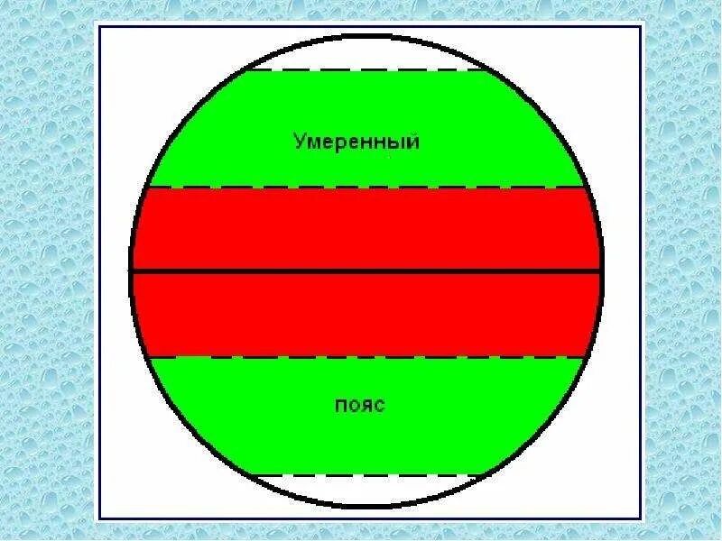 Умеренный пояс. Умеренный пояс пояс. Климат умеренного пояса. Расположение умеренного пояса на земле. Особенности северного умеренного пояса