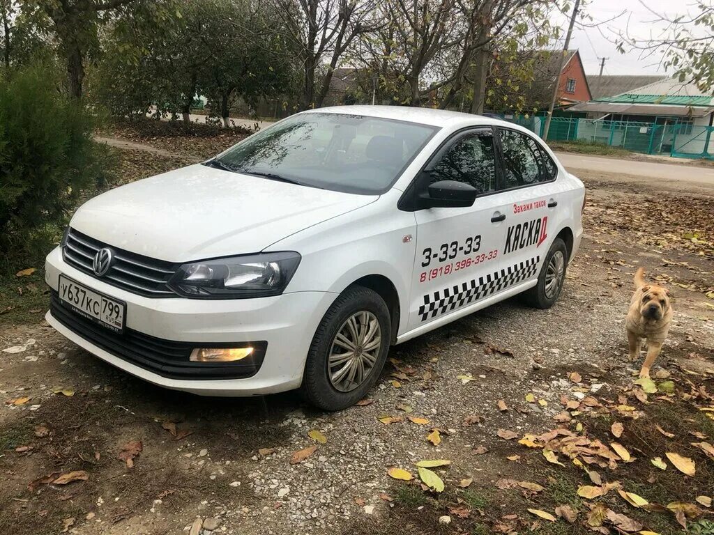 Такси абинск. Яндекс такси. Номер такси абинск. Такси брюховецкая. Такси 44444, конаково.