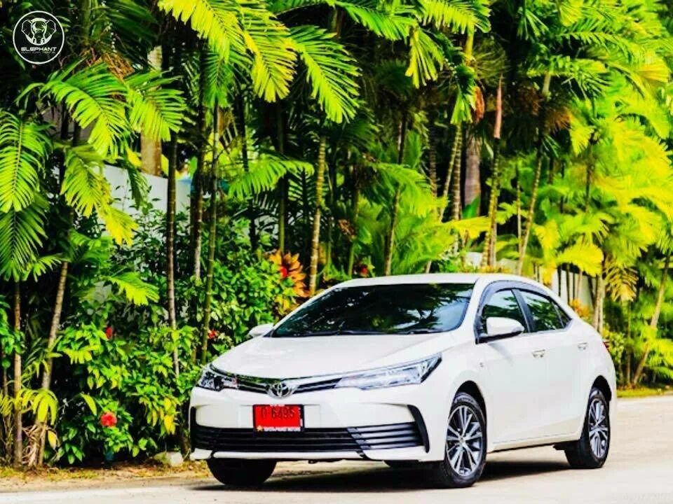 Аренда авто тайланд. Rent car Phuket. Авто Пхукет. Премиум авто Пхукет. Toyota Commander Phuket.