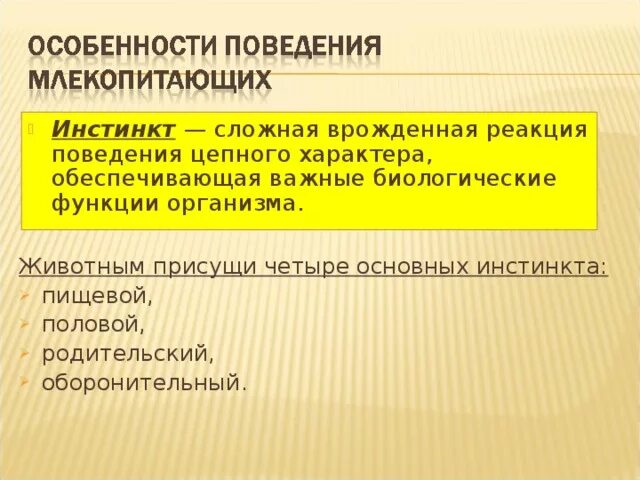 Почему у млекопитающих сложное поведение