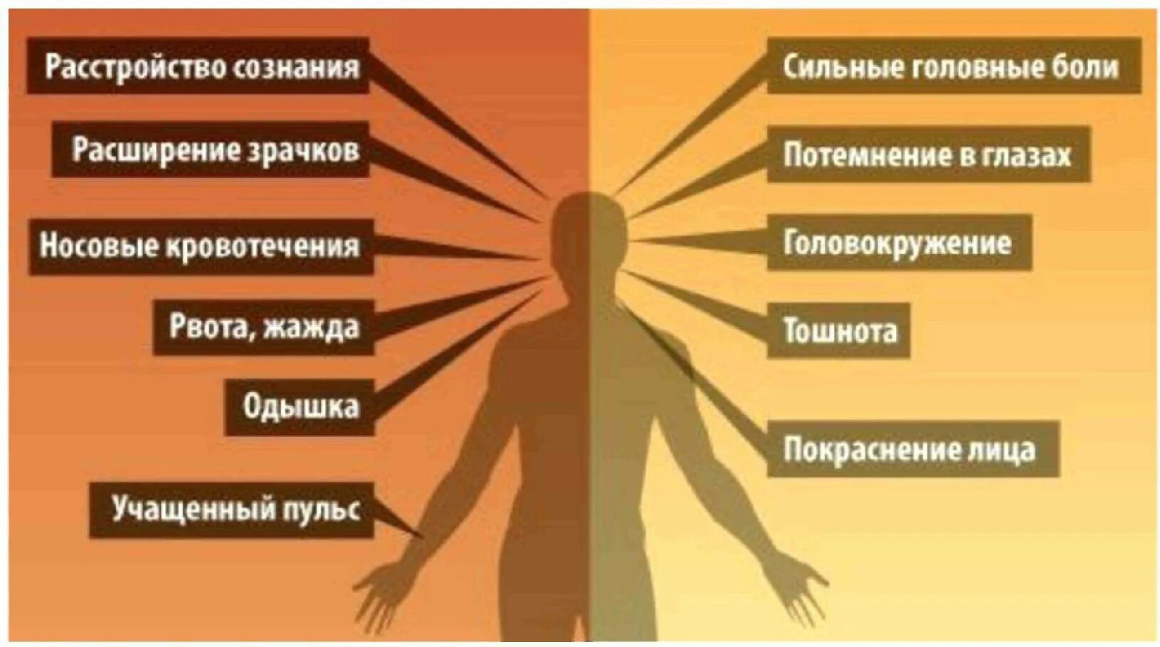 Признаки сильного организма. Тепловой и Солнечный удар (признаки и оказание первой помощи). Проявления и отличия теплового от солнечного удара. Признаки солнечного удара. Солнечный удар симптомы.