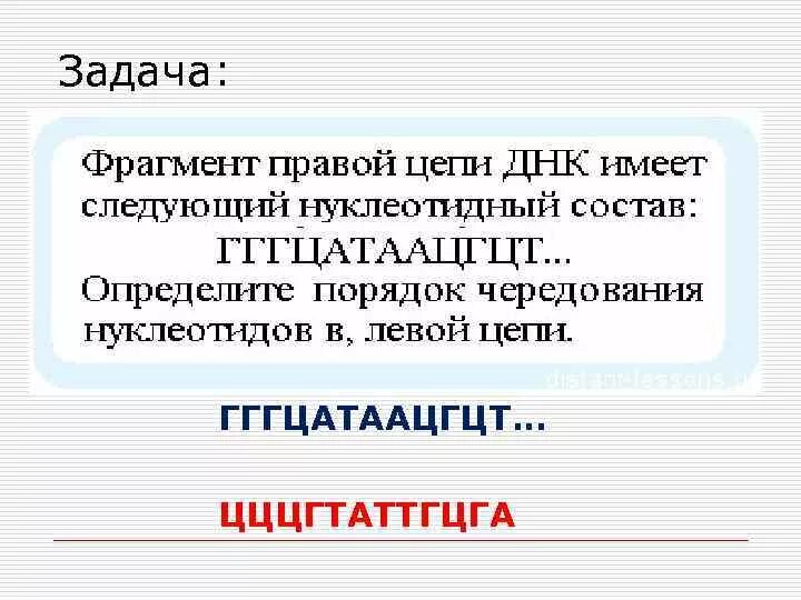 Определите нуклеотидную последовательность цепи днк. Порядок чередования нуклеотидов в днк. фрагмент правой и левой цепи днк. фрагмент левой цепи днк имеет следующий нуклеотидный состав. цццгтаттгцга.