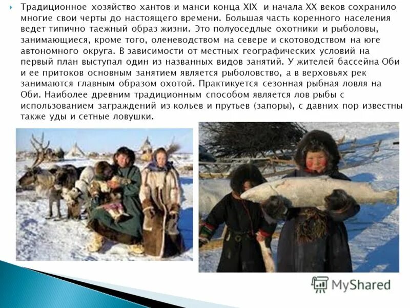 Занятия населения в арктике. Ханты традиционные занятия. Ханты и манси традиции и обычаи. Традиции народов севера. Традиционные занятия населения.
