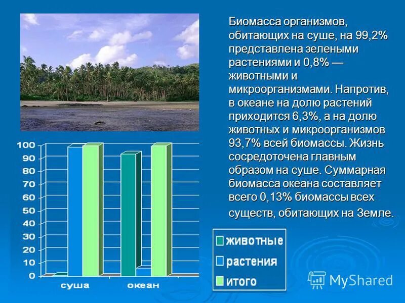 Биомасса живых организмов. Распределение живых организмов. Распределение биомассы в океане. Соотношение биомассы растений и животных. Сравните суммарную биомассу суши и океана