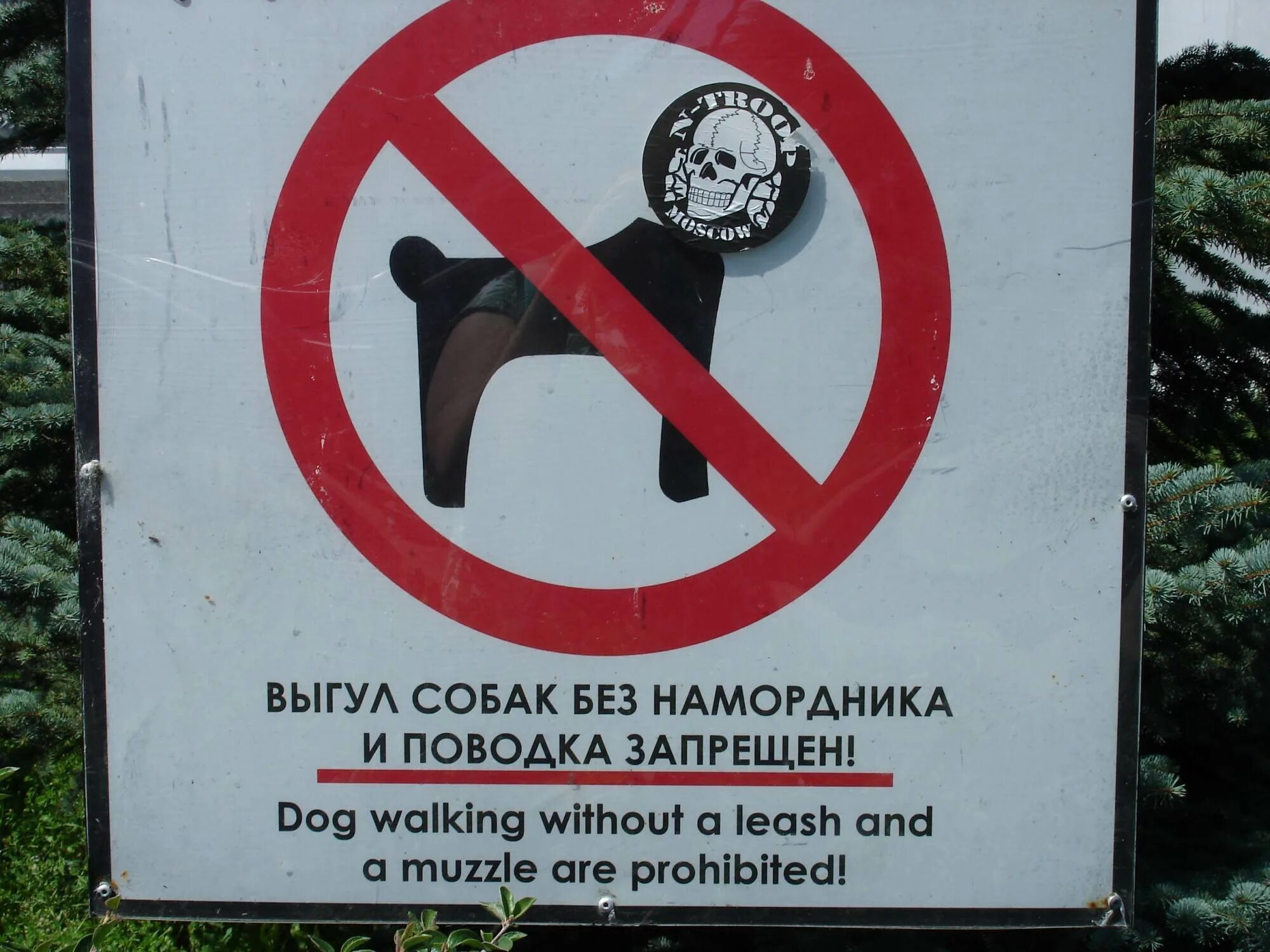 Выгул без поводка статья. Выгул собак запрещен. Выгул собак без намордника запрещен. Запрещено выгуливать собак. Выгул собак без намордника и поводка запрещен табличка.