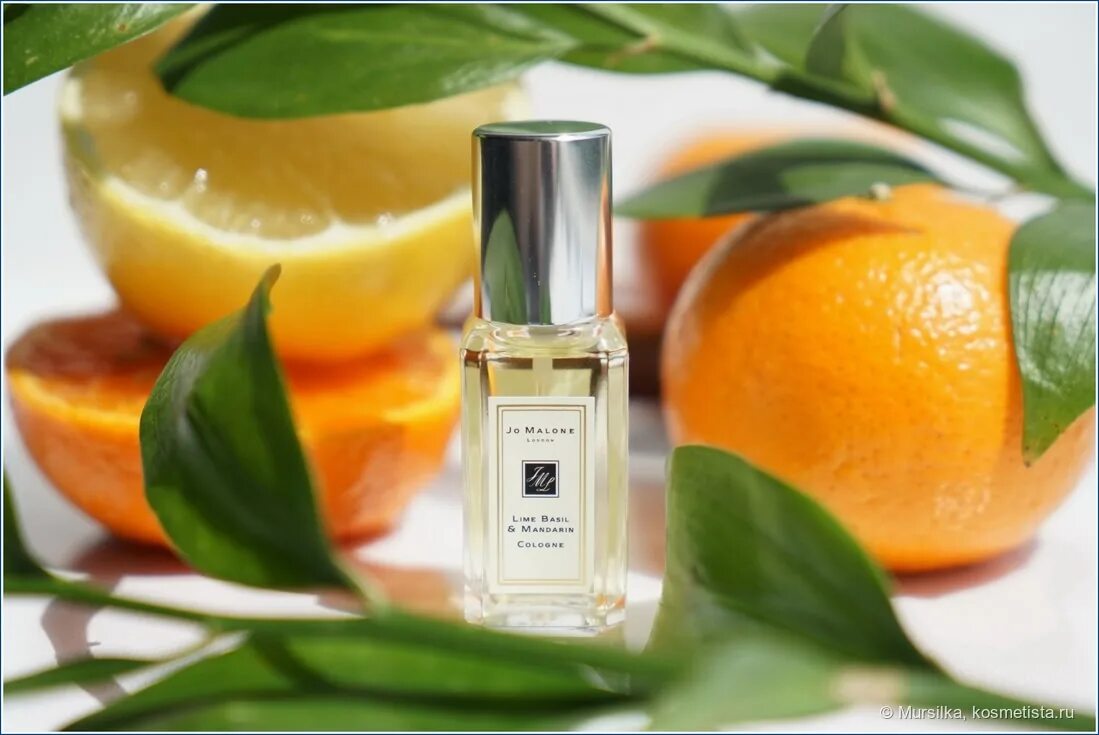 Джо Малон мандарин. Джо Мелон лайм Базил мандарин. Jo Malone London Lime Basil & Mandarin 100 ml. Джо Малон лайм базилик и мандарин. Лайм базилик мандарин