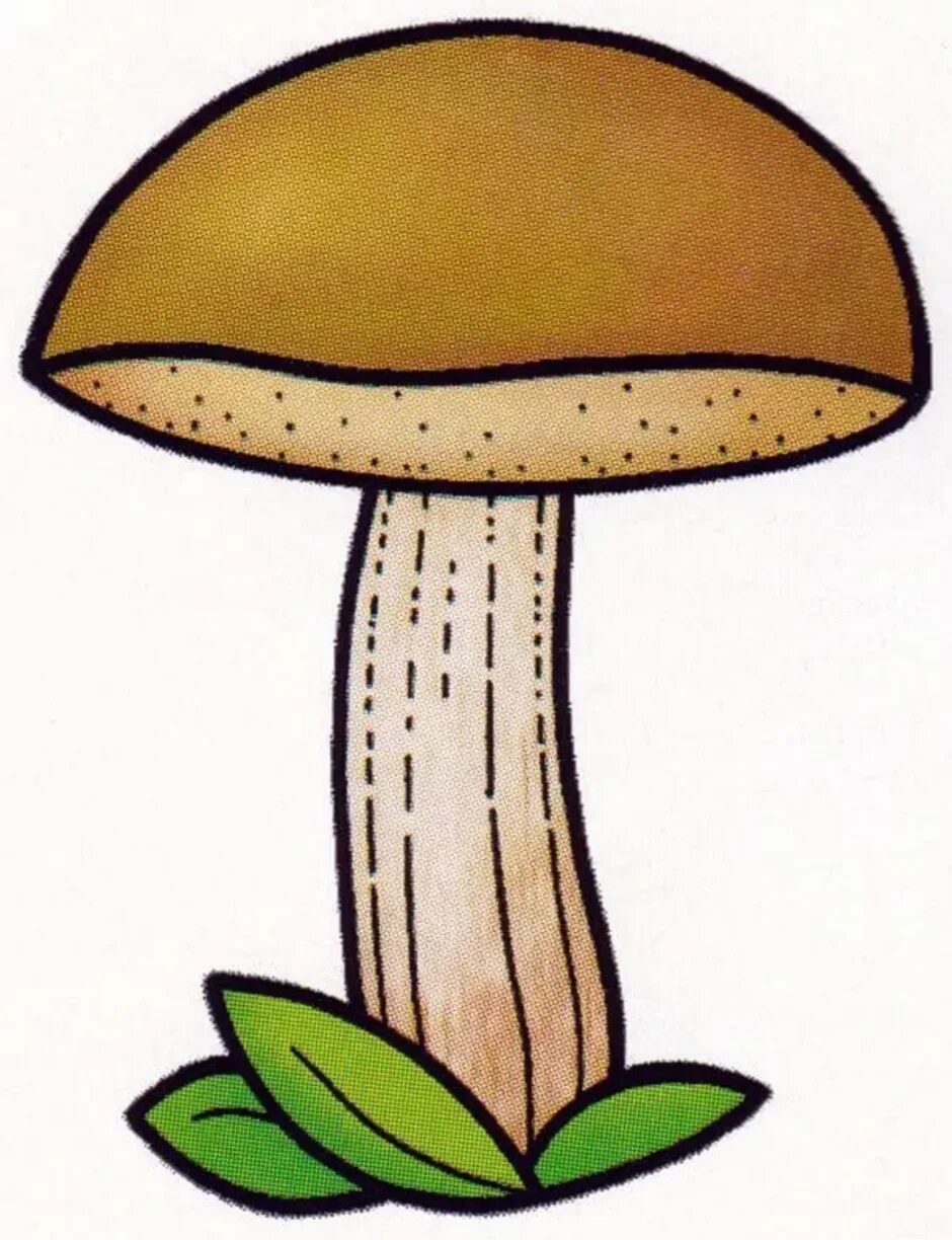 Подберезовик гриб для детей. Подберезовик гриб рисунок для детей. Рисунки грибов для детей. Нарисовать гриб.