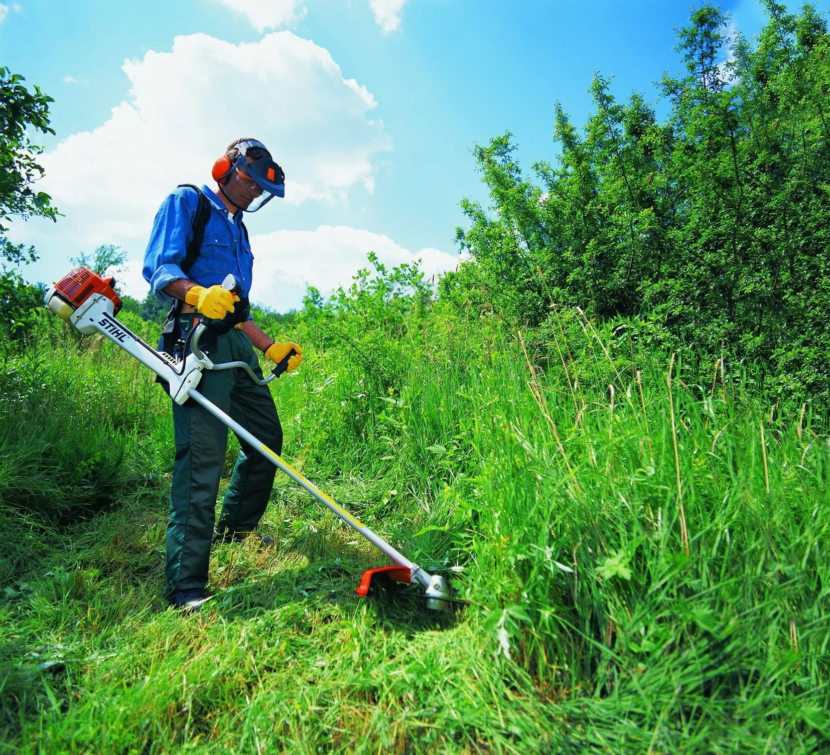 Триммер для покоса травы Stihl. Покос травы 1 сотка. Покос травы триммером штиль. Покос травы бензотриммером 0,. Купить покос травы