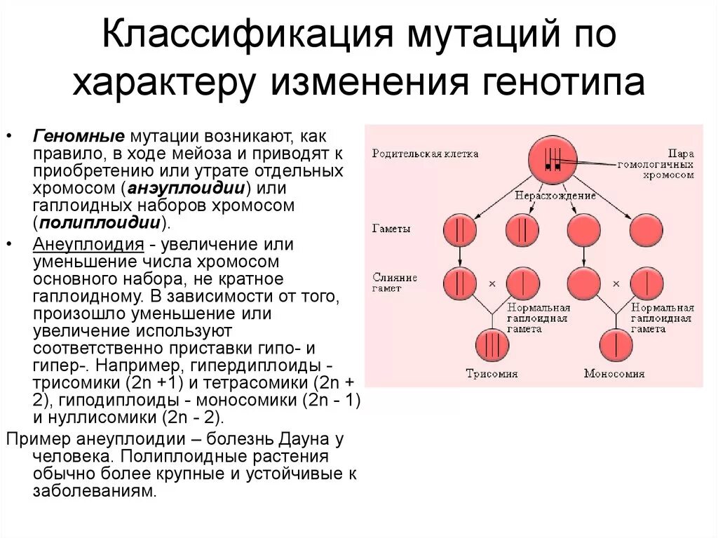 Измененный генотип