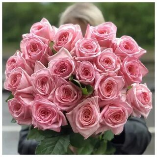 Розы пинк фото