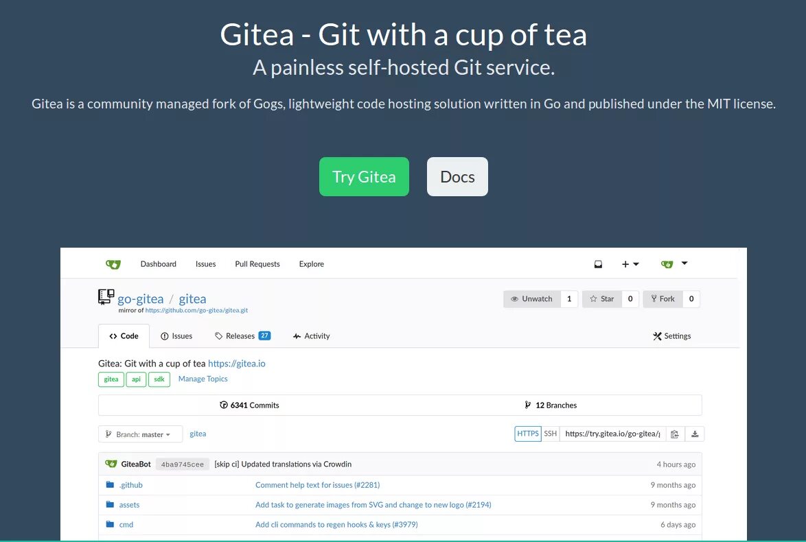 Gitea. Git-хостинг. Gitea: Gitea. GITHUB альтернативы. Skip updates