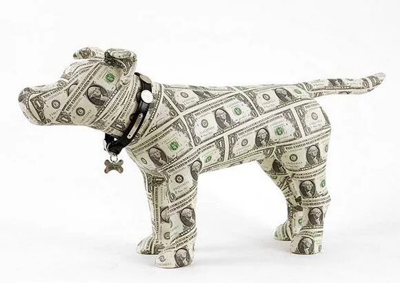 Money pet. Денежная собака. Собака из денежных купюр. Фигуры из денег. Собака доллар.
